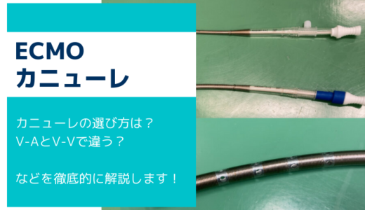 ECMOカニューレの選び方を徹底解説！メーカー別にまとめました